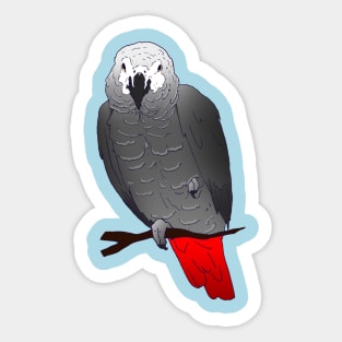 African Grey Parrot Perching on a Branch Sticker